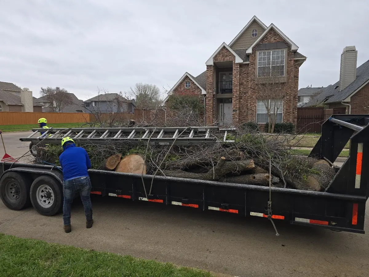 Expert Lot Clearing with proper safety equipment in Santa